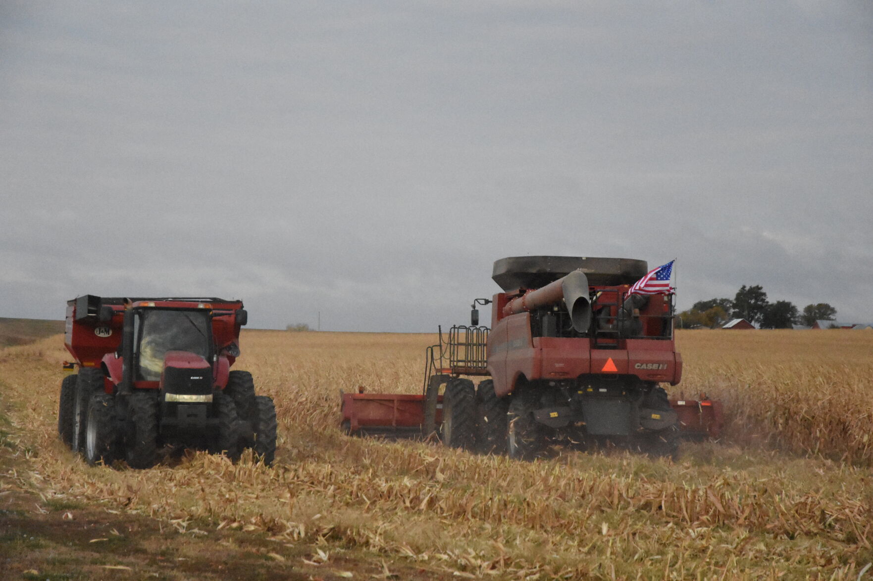 Rempel Harvest (22).JPG
